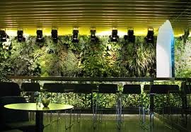images_333